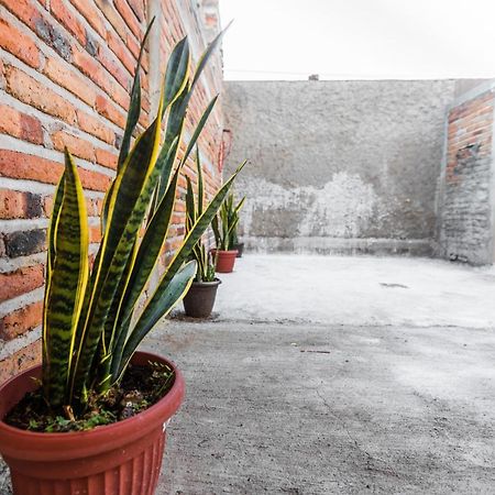 Departamento Lily En El Centro De Tequila Apartment Exterior photo
