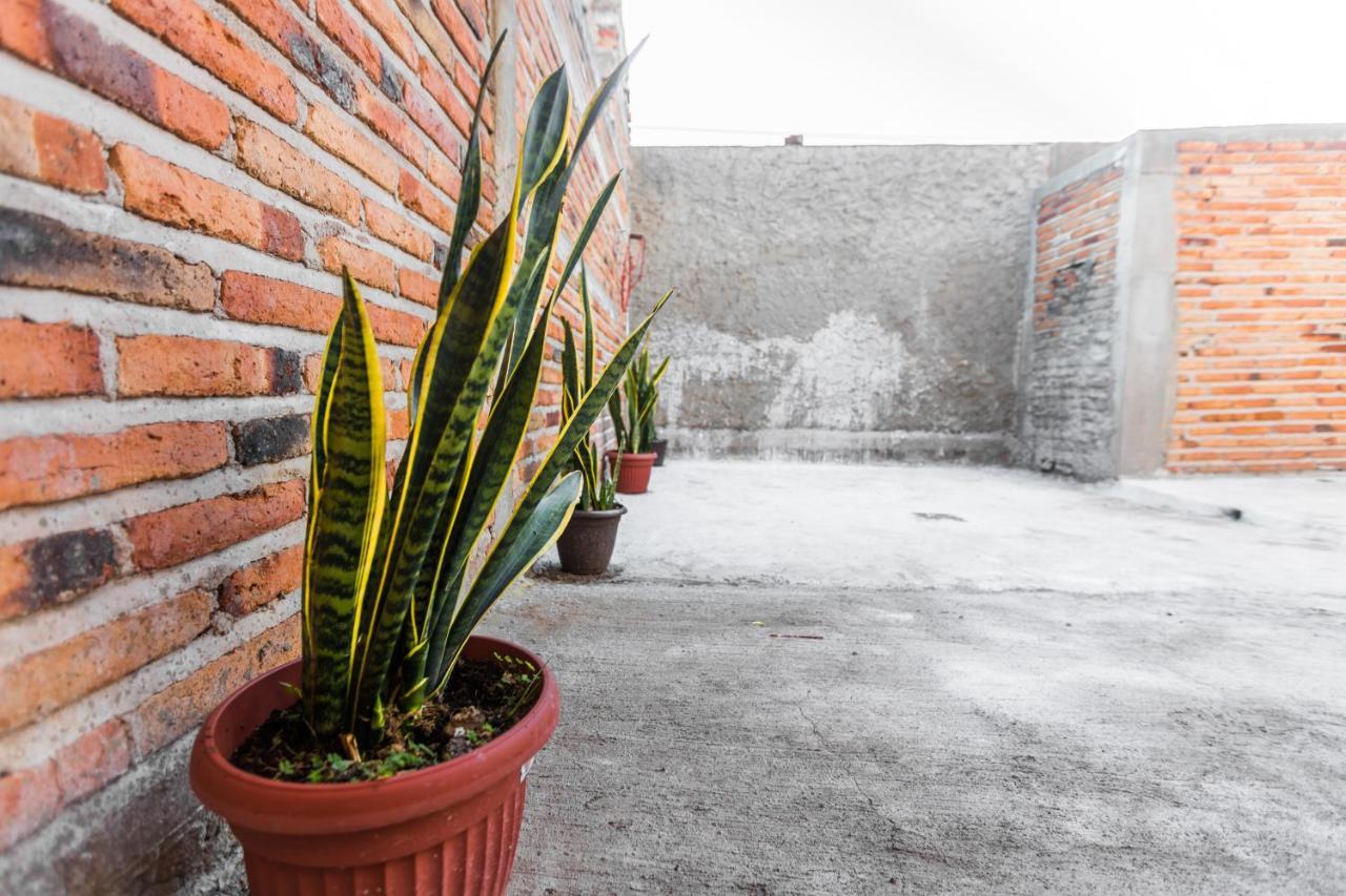 Departamento Lily En El Centro De Tequila Apartment Exterior photo