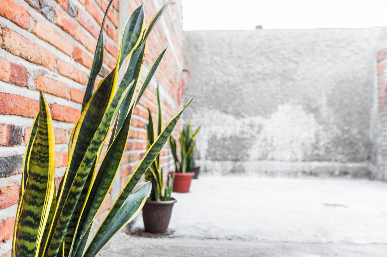 Departamento Lily En El Centro De Tequila Apartment Exterior photo